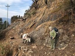 Syafru Beshi to Kathmandu (Drive)